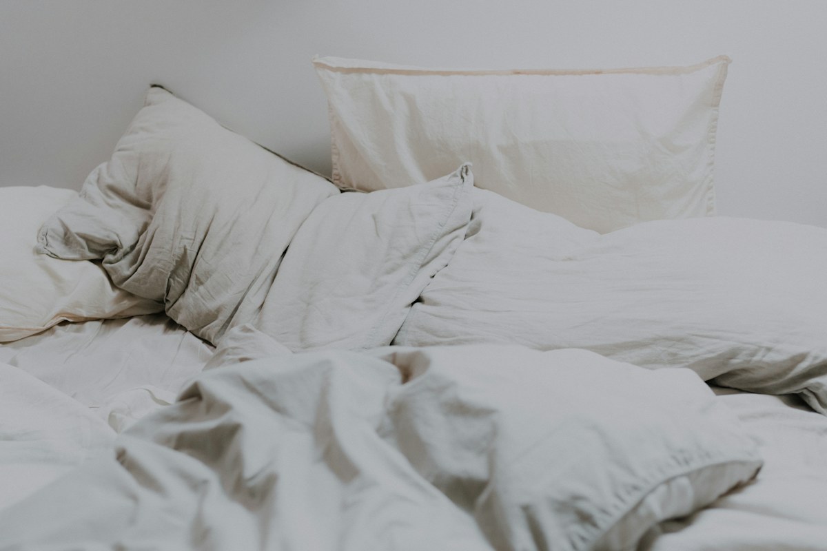 Linen Pillow Pair